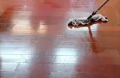 辦公區(qū)域保潔要注意哪些方面呢？