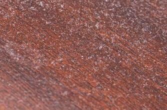 對于家里灰塵的清理，有什么方法嗎？