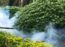 四害消殺完成后，需要做哪些鞏固工作呢？